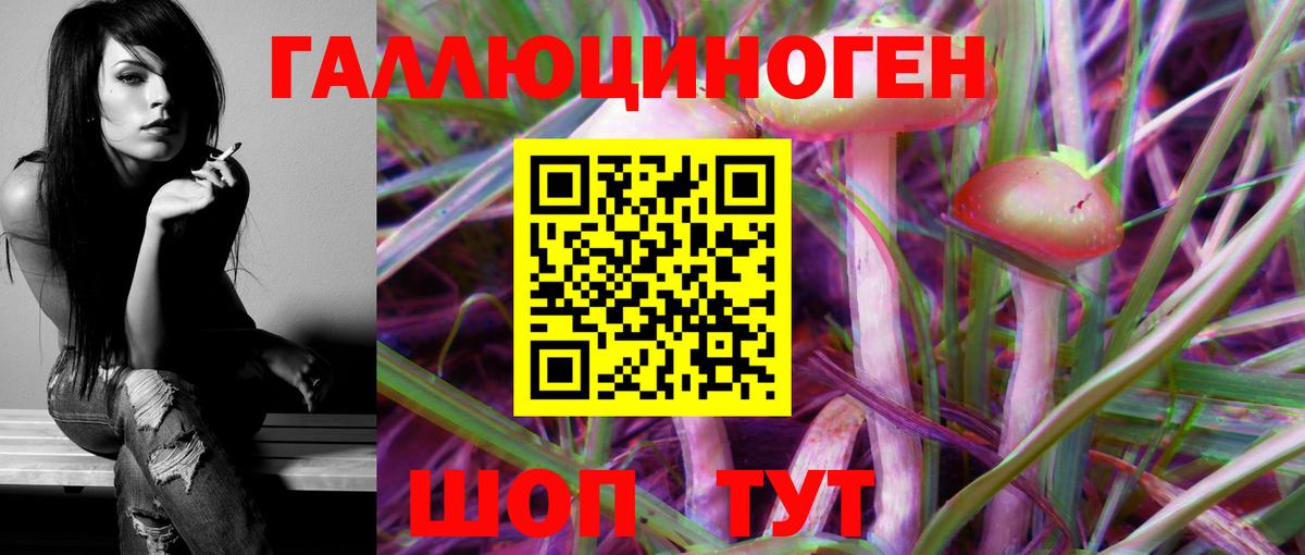 продажа наркотиков  Псилоцибиновые грибы мухоморы  Воркута  Вход с VPN  Псилоцибиновые грибы Psilocybe 